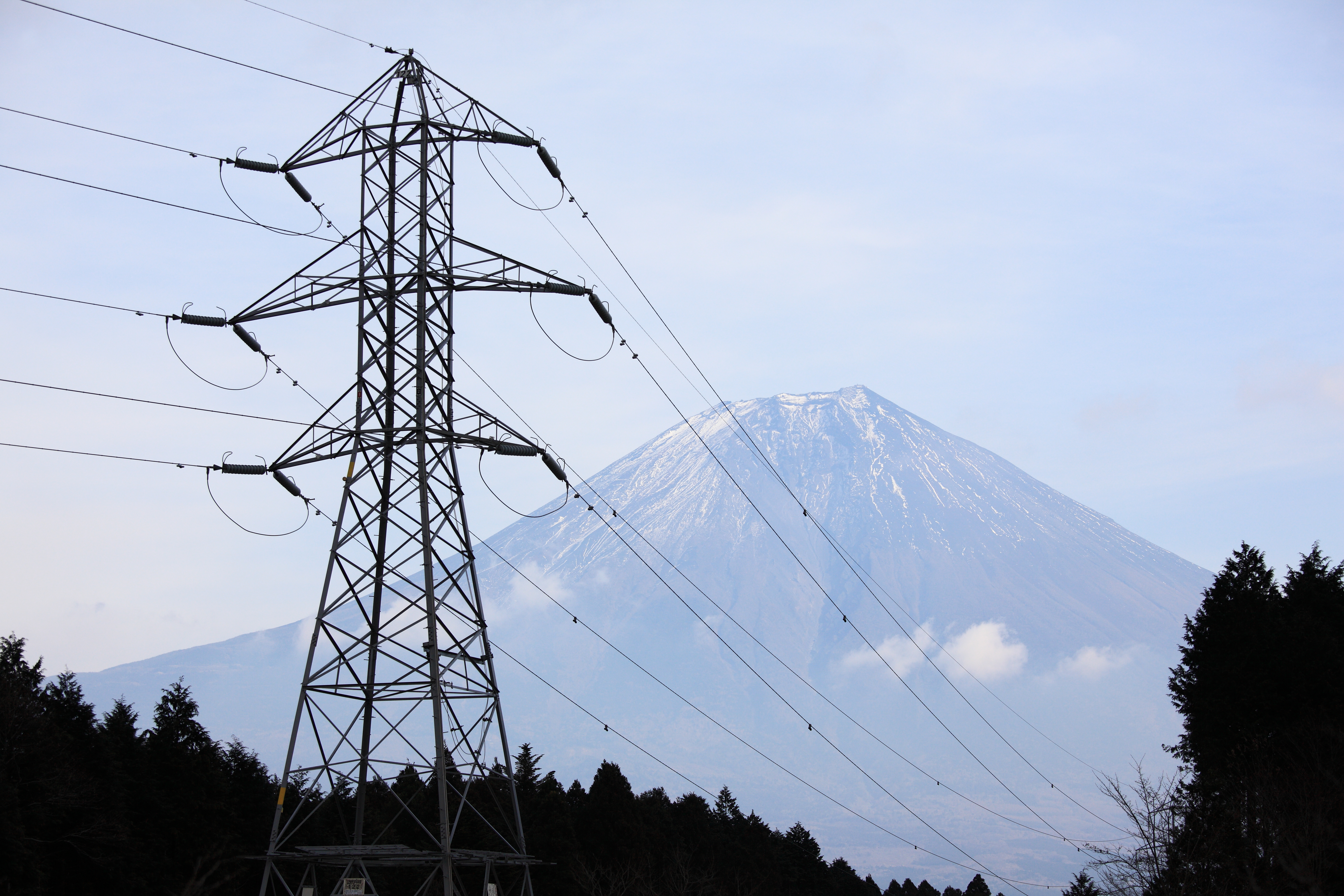 Facing the World, Facing the Future: How Japan is Working to